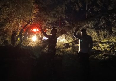 Arus Listrik Padam di Aceh Besar, Polsek Krueng Barona Jaya bersama Instasi Terkait Bersihkan Pohon Tumbang