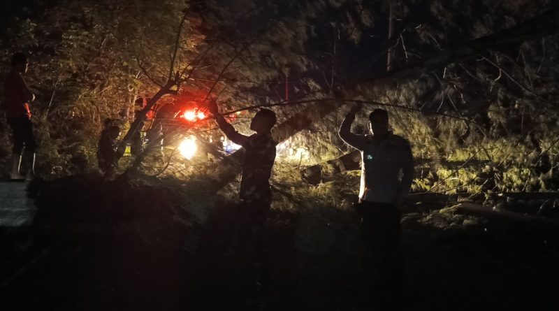 Arus Listrik Padam di Aceh Besar, Polsek Krueng Barona Jaya bersama Instasi Terkait Bersihkan Pohon Tumbang